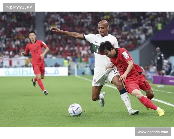 葡萄牙团队配合展现完美默契绝杀进球精彩瞬间